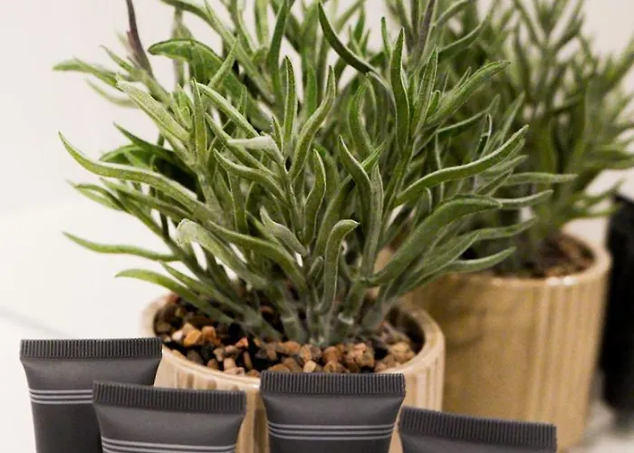 Ptasia Gora Appartement Kłodzko